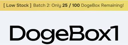 A digital sign or label reading "[ Low Stock ] Batch 2: Only 25 / 100 DogeBox Remaining!" above the large bold text "DogeBox1".