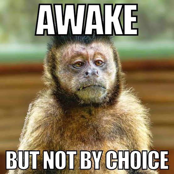A capuchin monkey with a tired, deadpan expression appears in a classic meme format with bold white text reading "AWAKE" at the top and "BUT NOT BY CHOICE" at the bottom. The image perfectly captures the universal Monday morning sentiment expressed in the post—that reluctant, groggy feeling of being conscious and functioning without actually wanting to be, mirroring the monkey's weary, unenthused stare.