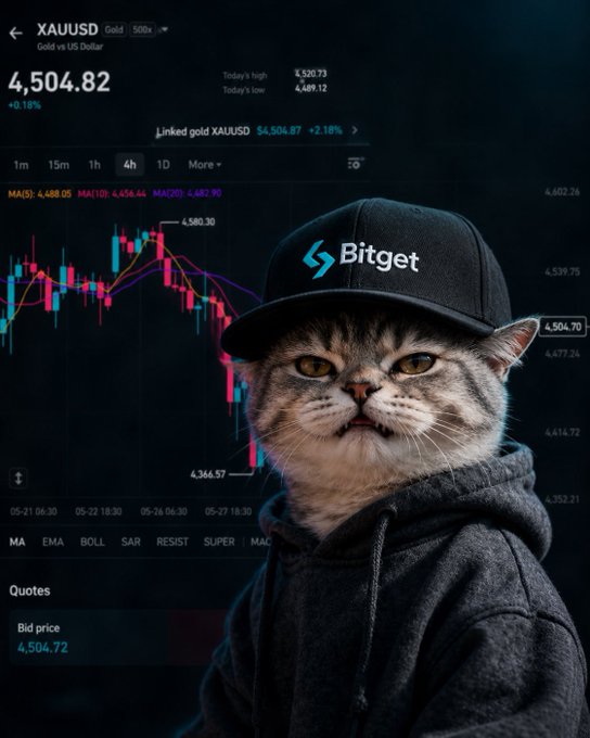 In the image, a cat wearing a baseball cap stands in front of a finance chart or graph, which appears to be a stock price analysis. The text accompanying the photo indicates that the post is about "Good Morning Who's trading $XAUUSD on Bitget today?". The main subject and the theme are related to the financial aspect as depicted by the stock prices shown in the chart, possibly related to Bitcoin or other digital assets.