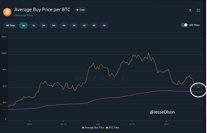 A 3-year chart titled "Average Buy Price per BTC" shows the BTC Price (orange line) peaking near $120K before declining, while the Average Buy Price (pink line) has steadily dropped to around $52,209, with a white circle highlighting the convergence point where the pink line sits well below the current price—visually reinforcing the post's claim that a bull market has not yet started because the average buy price continues trending downward without a retest.