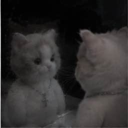 A fluffy white cat wearing a diamond necklace looking at its reflection in a mirror.