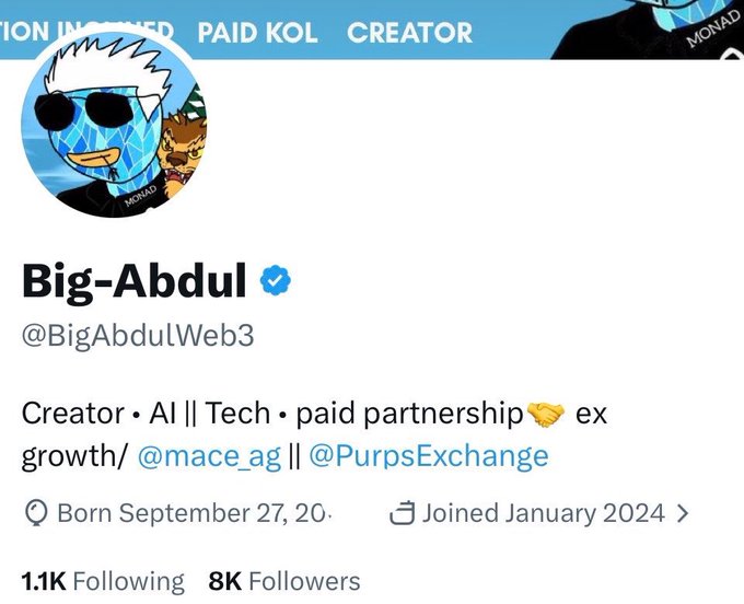 This image shows the Twitter/X profile of "Big-Abdul" (@BigAbdulWeb3), a verified crypto creator and KOL with 8K followers, who joined in January 2024. His bio highlights his work in Creator, AI, Tech, and paid partnerships with @mace_ag and @PurpsExchange, supporting the post's message about growth through sharing profitable crypto insights (alphas).
