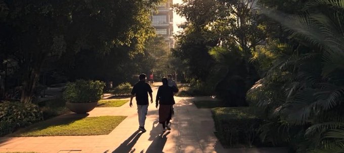 A couple walks hand-in-hand down a sunlit garden path lined with lush greenery and palm trees, casting long shadows in the warm golden light. The serene, aspirational setting complements the "WAGMI" (We're All Gonna Make It) sentiment and giveaway announcement, evoking a sense of optimism and shared success.