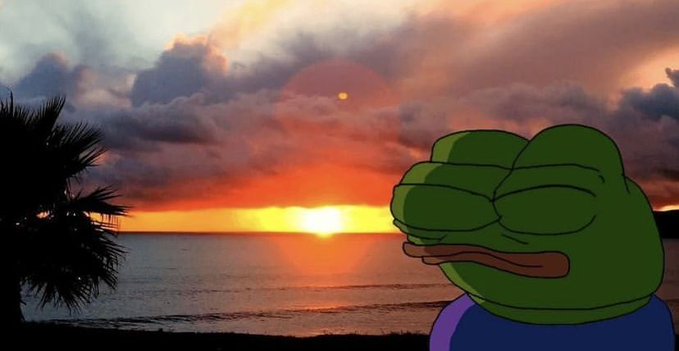 A Pepe the Frog meme character with a smug expression superimposed against a sunset beach scene with palm trees.