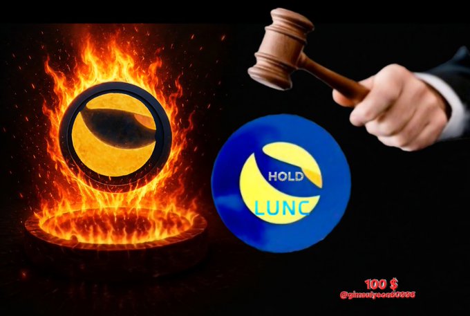 Graphic showing a Terracoin/LUNC cryptocurrency token with a judge's gavel about to strike it, alongside a fiery crypto token, with text 'HOLD LUNC' and 'YOU $' watermark.