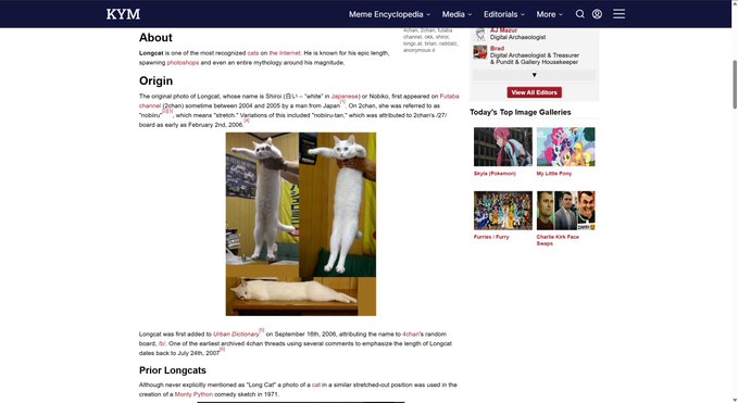 A Know Your Meme webpage displays an "About" and "Origin" section about the famous internet meme Longcat, featuring a photo of the elongated white cat being stretched out vertically by two people, alongside text explaining that the Japanese character Longcat, or "Nōgata" (のーがた), debuted on Futaba channel (2chan) between 2004 and 2005, directly matching the accompanying post's description of Longcat's origins on 2chan around 2004-2005 and its ridiculous stretched appearance.