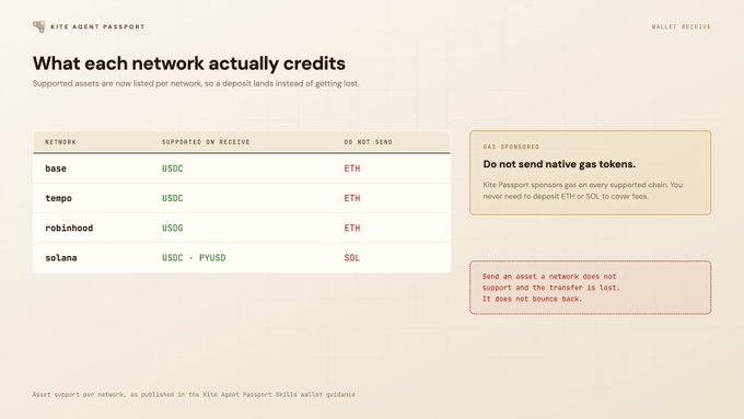 A 'KITE AGENT PASSPORT' informational graphic titled 'What each network actually credits,' displaying a table listing networks like base, tempo, robinhood, and solana, their supported assets, and warnings about not sending native gas tokens.