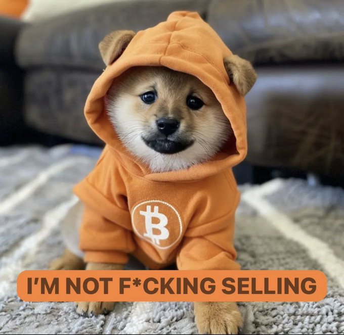 An image of a Shiba Inu puppy wearing an orange Bitcoin-themed hoodie with the caption "I'M NOT F*CKING SELLING." The meme humorously aligns with the "stack your $DOG tokens" message by portraying unwavering holding loyalty—fitting for both Bitcoin and meme coin communities that pride themselves on never selling.