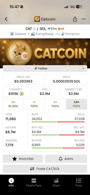 A mobile screenshot of a cryptocurrency tracking app showing details for 'Catcoin (CAT) / SOL', displaying stats like a price of $0.002963, a market cap of $2.9M, and 71,080 transactions, with a gold cat coin logo.