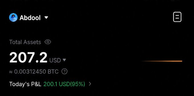 Cryptocurrency portfolio screen for user Abdool showing Total Assets of 207.2 USD (approximately 0.00312450 BTC) with a daily profit and loss of +200.1 USD (95%).