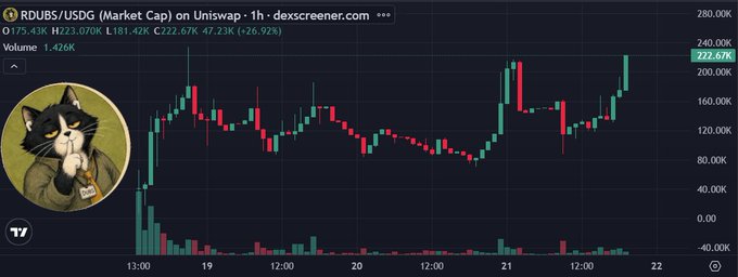 A cryptocurrency chart on dexscreener.com displays RDUBS/USDC price movement with a cat avatar, showing a 1-hour price of 222.67K and a 26.92% increase.