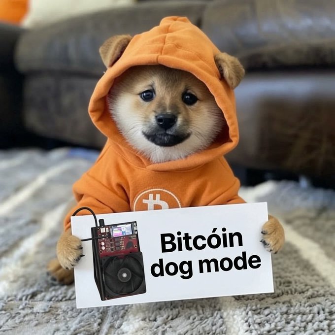 A Shiba Inu puppy wearing an orange Bitcoin-logo hoodie, holding a sign that reads 'Bitcóin dog mode' next to an image of a small ASIC Bitcoin miner.