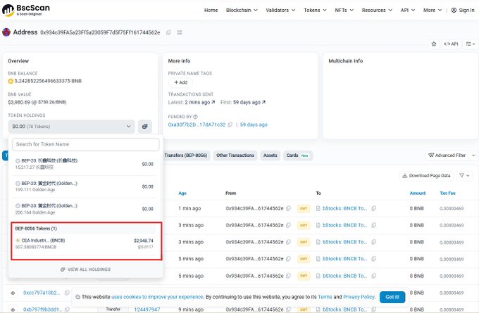 BscScan blockchain explorer page for an address showing a BNB balance of approximately 5.24 and a highlighted transaction sending $2,948.74 worth of BEP-20 tokens (BMCB) to a contract.