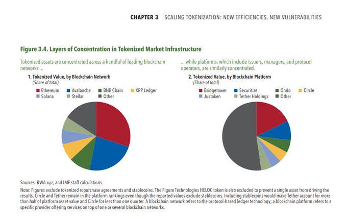 An IMF report page titled 'CHAPTER 3 SCALING TOKENIZATION: NEW EFFICIENCIES, NEW VULNERABILITIES' shows Figure 3.4, with two pie charts illustrating 'Tokenized Value, by Blockchain Network' (Ethereum, Avalanche, BNB Chain, XRP Ledger, Solana, Stellar, Other) and 'Tokenized Value, by Blockchain Platform' (BridgeTower, Securitize, Ondo, Circle, Justoken, Tether Holdings, Other).