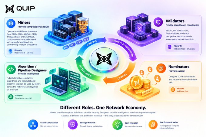 An infographic for QUIP detailing four roles in its network economy: Miners (providing compute), Validators (providing security), Nominators (providing capital), and Algorithm/Pipeline Designers (providing intelligence).