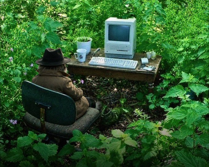 A whimsical photograph of a person in a brown coat and dark fedora hat sitting in an office chair in a forest, working at a wooden desk with a vintage Macintosh computer surrounded by lush green vegetation.