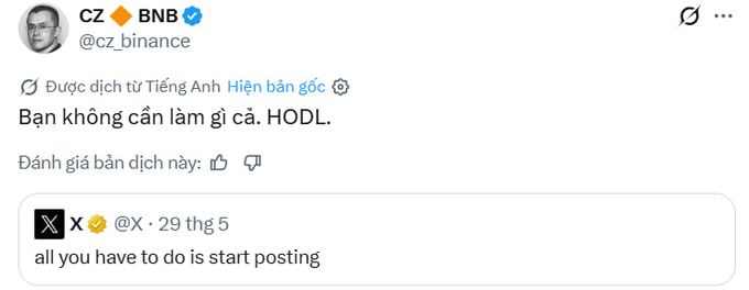 The image focuses on a Twitter post about Bitcoin. The main text of the post reads, "CZ - You don't need to do anything. HODL But importantly, which token are you HODLing and at what price? The entry point is extremely important, okay AE, chasing the peak at $11 WLD means you'll never get back to shore." This message appears to be about Bitcoin and its value, with an emphasis on the importance of finding the right entry point for buying or selling.