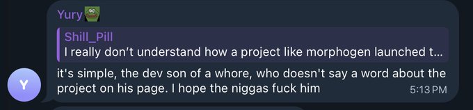 A Discord message from 'Shill_Pill' in the 'Yury' server expressing frustration about the 'morphogene' project developer.