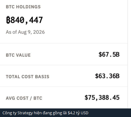 A financial dashboard displays Strategy (formerly MicroStrategy)'s Bitcoin holdings at 840,447 BTC valued at $67.7B as of August 9, 2026, with an average cost of $75,388.45 per BTC and total cost basis of $63.36B. The Vietnamese caption notes Strategy is currently sitting on $4.2 billion in unrealized profits, supporting the post's point about the company's recovery from a $10 billion loss to profitability as BTC reaches the $80K level.