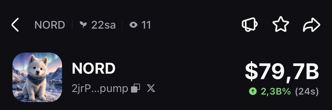 A screenshot of a meme coin called NORD showing a price of $79.7B with a 2.3% gain over 24 hours, accompanied by the contract address "2jrP…pump," which matches the trading advice in the post about learning to hold onto meme coins like $NORD to avoid the pain of selling too early.
