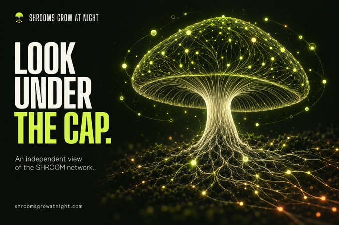 A glowing green mushroom network visualization with the headline "LOOK UNDER THE CAP" and tagline "An independent view of the SHROOM network," promoting shroomsgrowatnight.com as a community dashboard exploring SHROOM on Robinhood Chain. The image's luminous mycelium imagery reinforces the post's metaphor of revealing the hidden onchain structure of the SHROOM ecosystem.