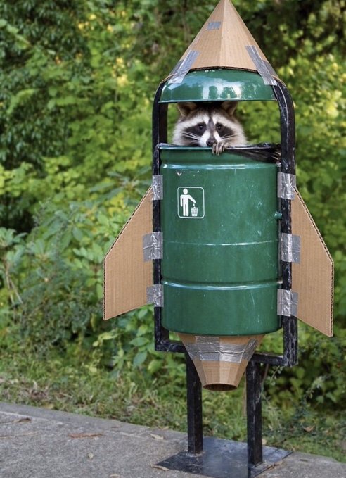 A raccoon peeking out from inside a green public trash can that has been creatively decorated with cardboard fins and a cone to resemble a rocket ship.