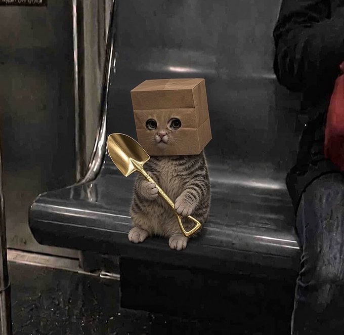 A tabby kitten wearing a cardboard box on its head sits on a subway seat, holding a tiny golden shovel. The image plays on the "shovel in the gold rush" metaphor, humorously personifying a Zcash (ZEC/ZCAT) holder as the miner of choice, armed to dig while protected by a box that won't dump on holders — nodding to Zcash's privacy-as-money thesis and the post's bullish case for $ZEC.