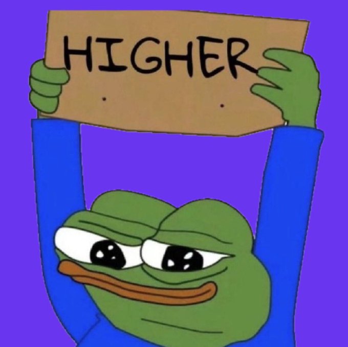 An illustration of the Sad Pepe frog meme holding up a cardboard sign that reads 'HIGHER' against a purple background.