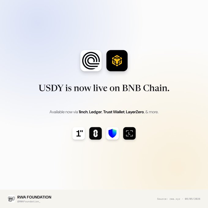 A promotional graphic stating 'USDY is now live on BNB Chain' with logos for RWA Foundation and BNB Chain, noting availability via 1inch Ledger, Trust Wallet, LayerZero, and more.
