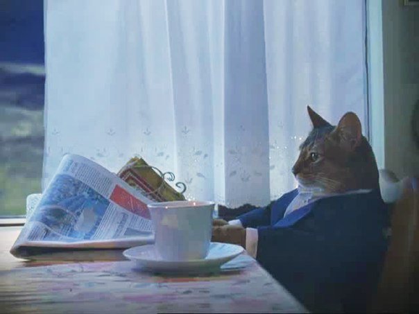 A cat dressed in a suit sits at a table with a coffee cup and newspaper, looking thoughtfully out the window—capturing a contemplative "planning the next move" moment that mirrors the post's reflection on buying more $ALGO.