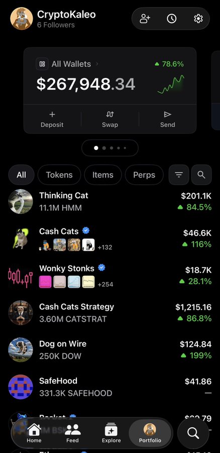 A cryptocurrency portfolio dashboard for user CryptoKaleo showing a total wallet balance of $267,948.34 (+78.6%), with holdings including Thinking Cat (11.1M HMM, $201.1K), Cash Cats ($46.6K), Wonky Stonks ($18.7K), Cash Cats Strategy (3.60M CATSTRAT), Dog on Wire (250K DOW), and SafeHood (331.3K SAFEHOOD).