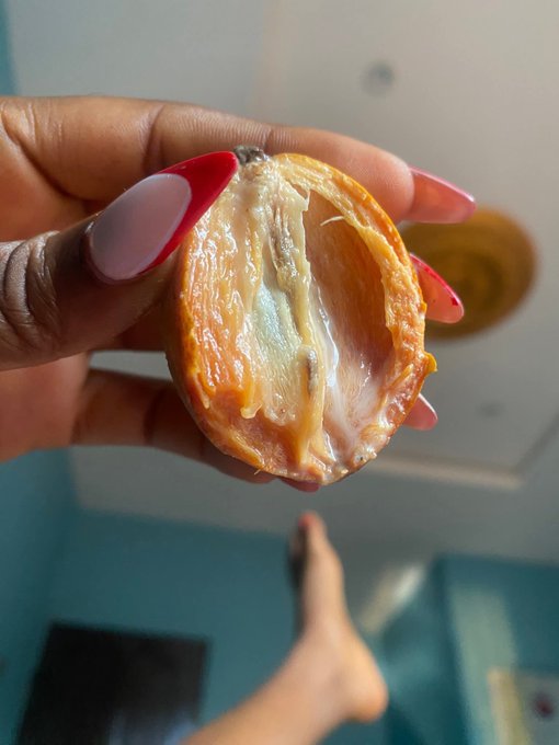 A hand holds a halved raw shea nut, revealing its creamy interior. The image implies that understanding the significance of shea nuts makes one a "legend."