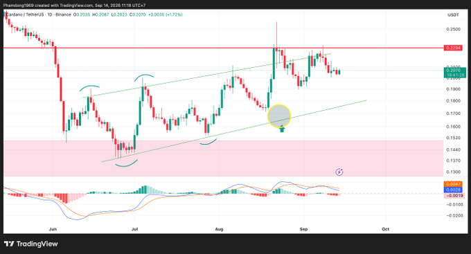A TradingView candlestick chart for Cardano/TetherUS (ADAUSDT) on Binance, showing a rising trend channel with price near 0.2036 (+1.72%) and technical indicators including MACD at the bottom.