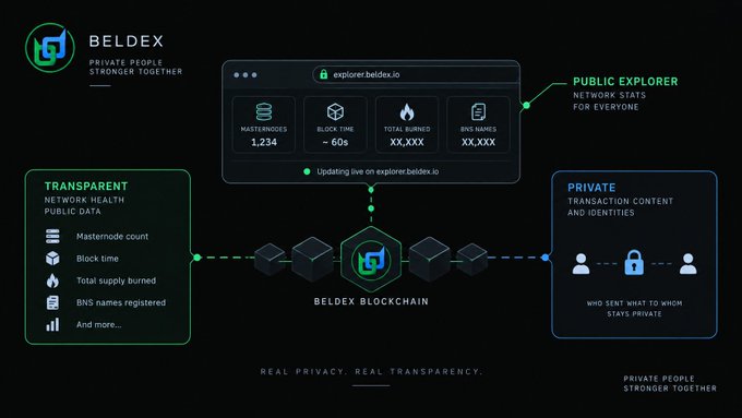 An infographic for 'BELDEX PRIVATE PEOPLE STRONGER TOGETHER' explaining their blockchain's transparent and private features, showing stats like 1,234 masternodes and a 60s block time.
