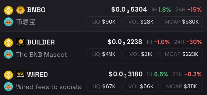 A cryptocurrency tracking dashboard displays price data for three BNB-themed tokens: BNBO at $0.000053004 (up 1.8% in 1H, down 15% in 24H) with $530K market cap, BUILDER at $0.000032238 (down 1.0% in 1H, down 30% in 24H) with $223K market cap, and WIRED at $0.00003180 (up 6.5% in 1H, down 0.3% in 24H) with $311K market cap. The image visually supports the post's claim about accumulating these low-cap BNB plays while they're still cheap ahead of an expected market rally.