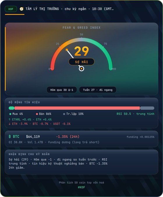 A cryptocurrency Fear & Greed Index dashboard in Vietnamese showing a score of 29 (Fear), with BTC at $64,119 down 1.35% over 24 hours, alongside market sentiment data.