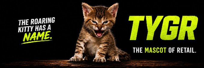 A promotional graphic with a black background showing a roaring tabby kitten in the center; text reads 'THE ROARING KITTY HAS A NAME.' on the left and 'TYGR THE MASCOT OF RETAIL.' in bold green and white letters on the right.