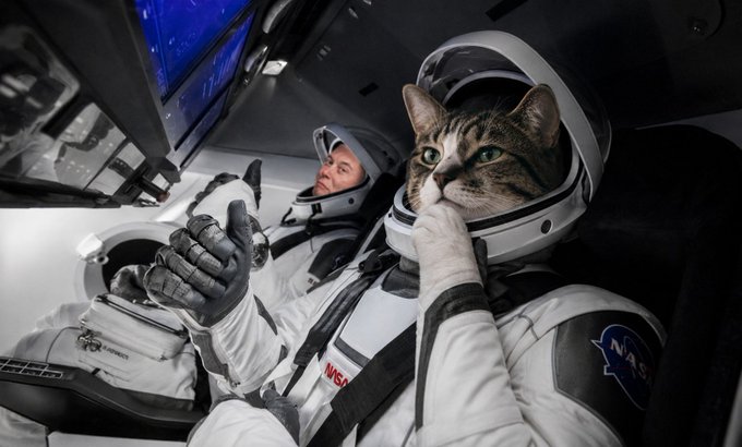 A tabby cat in a NASA spacesuit helmet sits beside an astronaut in a spacecraft cockpit, with a "NASA" patch visible on the suit and "ZERO" partially readable in the background. The whimsical feline "contemplating" its journey to the moon perfectly captures the contemplative mood of the post about thinking one's way to the moon.