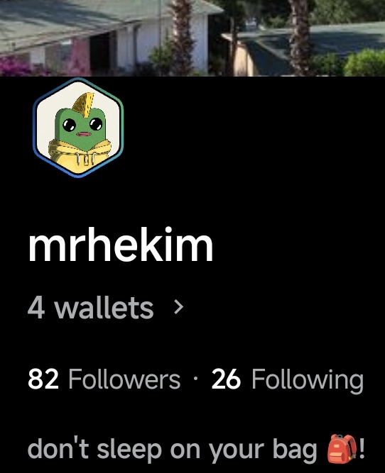 A profile page for user "mrhekim" featuring a hexagon-shaped cartoon cactus avatar, showing 4 wallets, 82 followers, 26 following, and the tagline "don't sleep on your bag 🎒!" — the hexagonal PFP ties into the post's nod to OpenSea's hexagonal profile picture style.