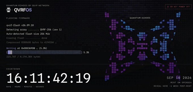 A dark-themed firmware flashing interface titled 'QVRFOS' by QUIP NETWORK shows a progress bar at 5.3%, a countdown of 16:11:42:19, and a pixelated purple panther logo.