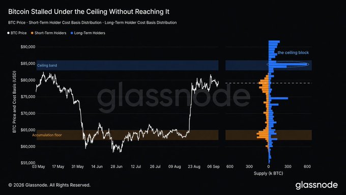 Glassnode’s chart shows BTC trading around $80K, below the $83K–$90K “ceiling band,” where long-term holders have a dense cost-basis cluster (supply wall) that price has not yet reached. Short-term-holder cost bases cluster near $60K–$65K, while the distribution axes show supply in thousands of BTC.