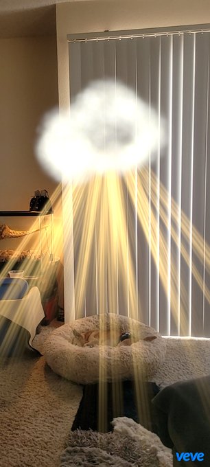 A small brown and white dog rests on a black surface in a room with vertical blinds, with a glowing cloud-like digital effect overlaid on the image and 'veve' in the corner.