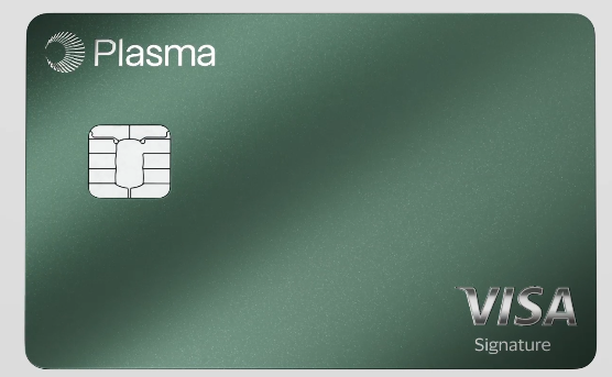 The image features a green Visa credit card with a white logo on its front. The card appears to be new and unused, as indicated by the lack of any text or other objects on the card itself. The main focus of the image is the Visa logo displayed prominently on the front of the card.