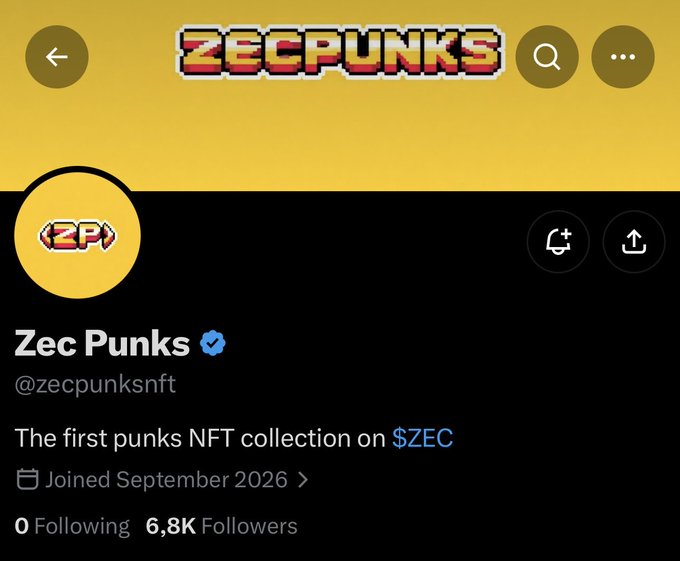 The image displays the Twitter/X profile page for "Zec Punks" (@zecpunksnft), a verified account with 6,800 followers describing itself as "The first punks NFT collection on $ZEC." This aligns with the accompanying post about an upcoming NFT launch with 1,555 supply, showcasing the project's branding with its pixel-art logo to support the claim that Zec Punks is among the early NFT projects being built on the Zcash ($ZEC) network.