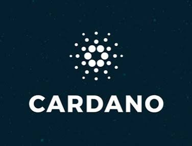 The Cardano logo and wordmark displayed on a dark teal background with a starry pattern.