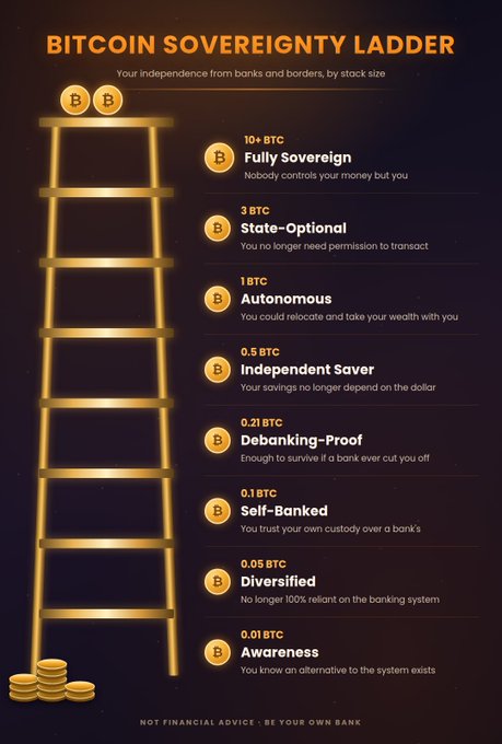 An infographic titled "BITCOIN SOVEREIGNTY LADDER" displays a golden ladder on the left, with eight rungs corresponding to increasing levels of financial independence, each marked with a Bitcoin (₿) symbol and a specific BTC threshold—from 0.01 BTC ("Awareness") at the bottom to 10+ BTC ("Fully Sovereign") at the top, where "Nobody controls your money but you." The image directly visualizes the post's breakdown of Bitcoin ownership tiers and the corresponding degrees of freedom from traditional banking systems.