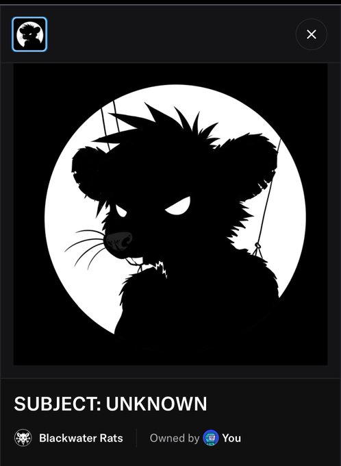 A digital collectible profile showing a silhouette of a rat with glowing eyes against a full moon, labeled 'SUBJECT: UNKNOWN' from the 'Blackwater Rats' collection.