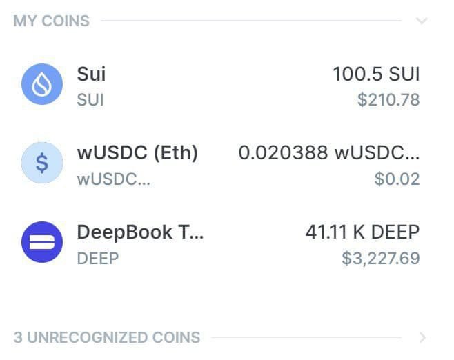 Coin portfolio view showing SUI (100.5 SUI, $210.78), wUSDC on Eth ($0.02), and DeepBook Token (41.11K DEEP, $3,227.69), with 3 unrecognized coins listed.