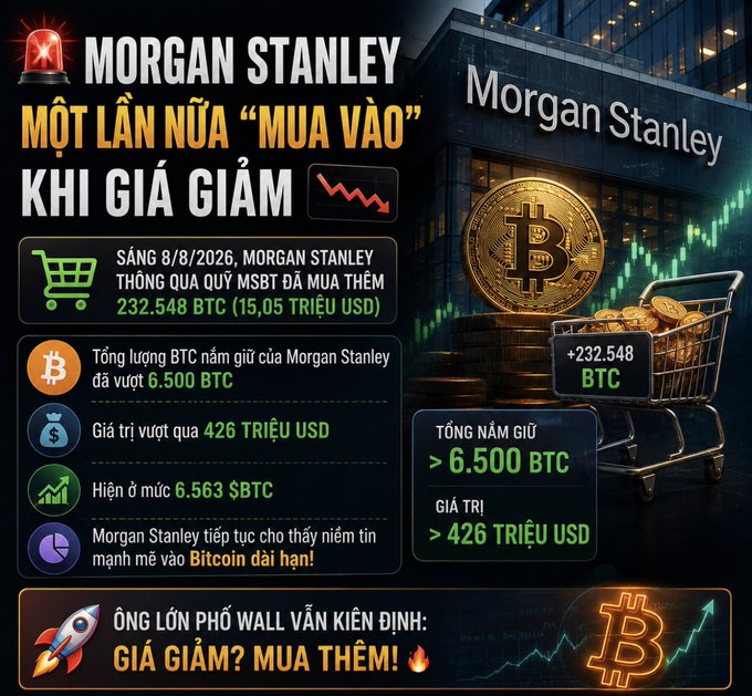 A Vietnamese financial infographic reports that Morgan Stanley purchased an additional 232,548 BTC ($15.05 million) on August 8, 2026, bringing their total holdings to over 6,500 BTC worth $426 million.