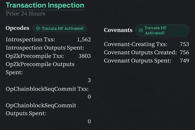 A 'Transaction Inspection' dashboard for the prior 24 hours showing OpCodes and Covenants statistics, both marked 'Toccata HF Activated!', with metrics like 1,562 Introspection Txs and 753 Covenant-Creating Txs.